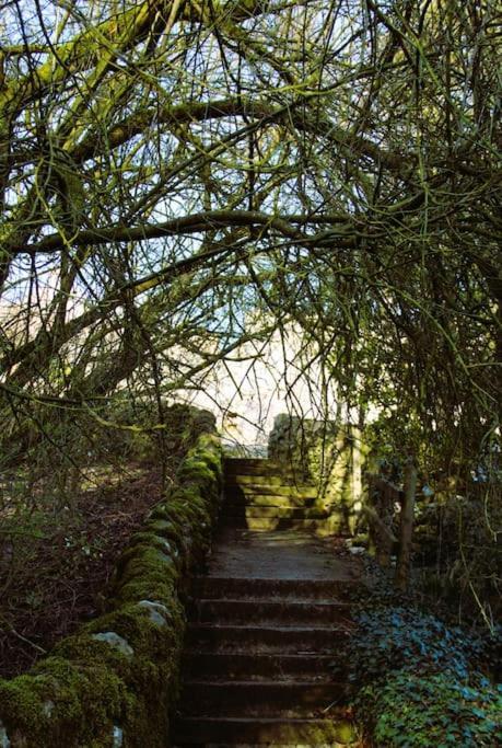 Gorgeous Cozy Cottage With A Heritage Feel, Walks, Pubs & Wood Burner Tideswell Eksteriør billede