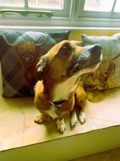 Gorgeous Cozy Cottage With A Heritage Feel, Walks, Pubs & Wood Burner Tideswell Eksteriør billede